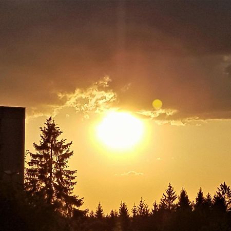 Grossdorf Appartement En Vogue Im Hahnenklee, Harz กอสลาร์ ภายนอก รูปภาพ