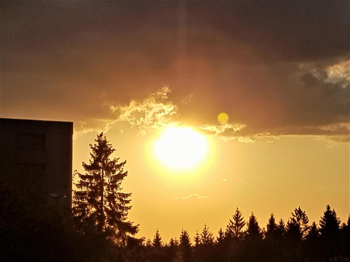 Grossdorf Appartement En Vogue Im Hahnenklee, Harz กอสลาร์ ภายนอก รูปภาพ