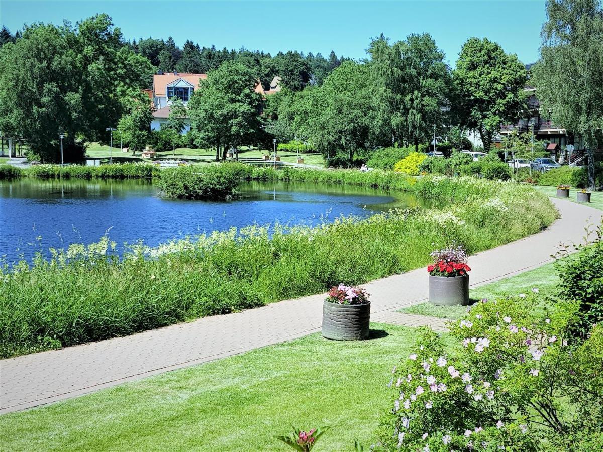 Grossdorf Appartement En Vogue Im Hahnenklee, Harz กอสลาร์ ภายนอก รูปภาพ