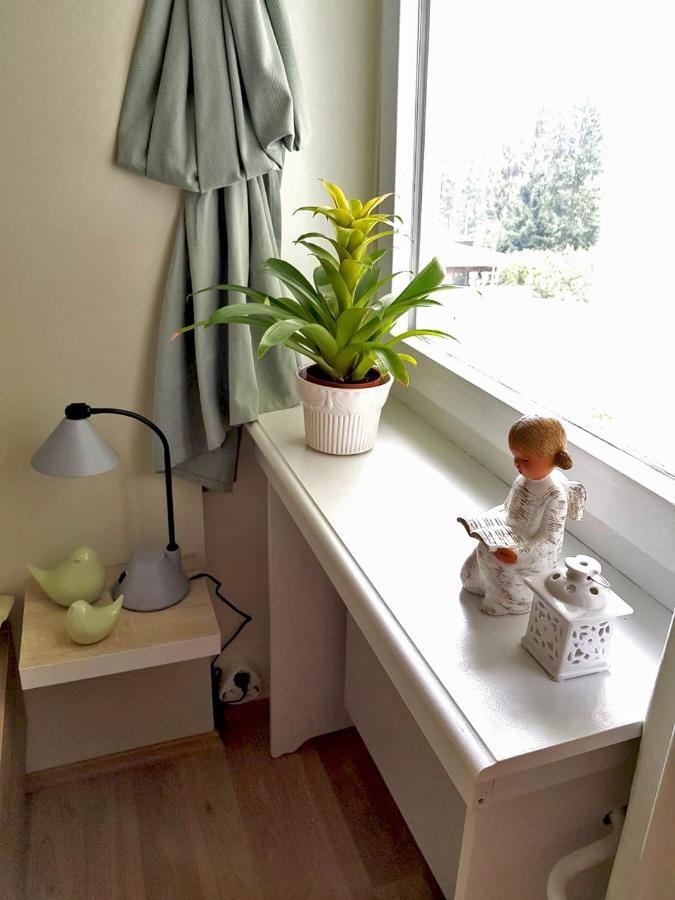 Grossdorf Appartement En Vogue Im Hahnenklee, Harz กอสลาร์ ภายนอก รูปภาพ